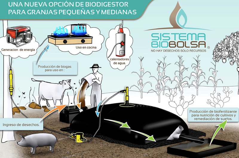 Illustration for article titled 6 Brilliant Ideas That Tackle the Toughest Environmental Problems